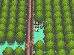 how to cut down trees in pokemon heartgold